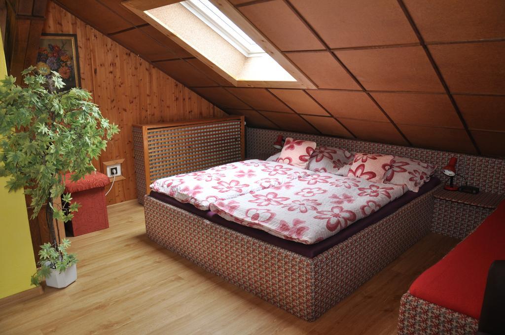 Pension Nika Cesky Krumlov Ngoại thất bức ảnh