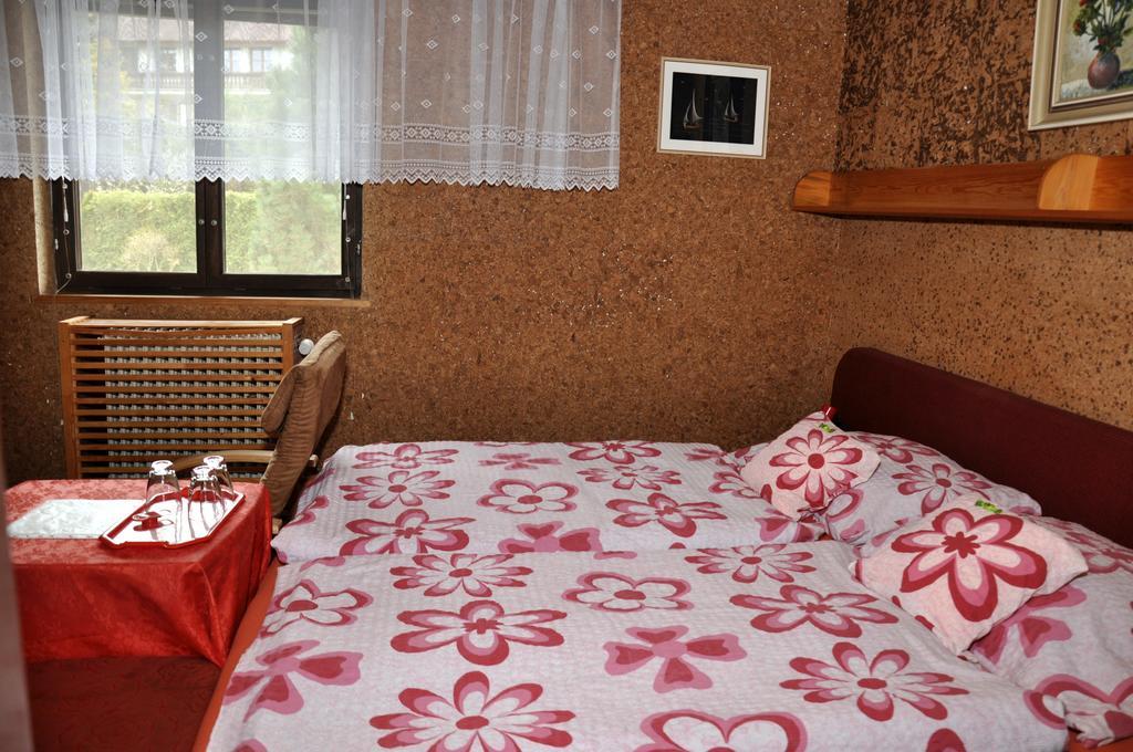 Pension Nika Cesky Krumlov Ngoại thất bức ảnh